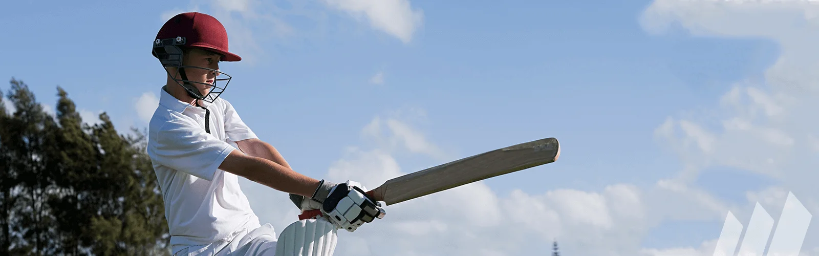 Cricket