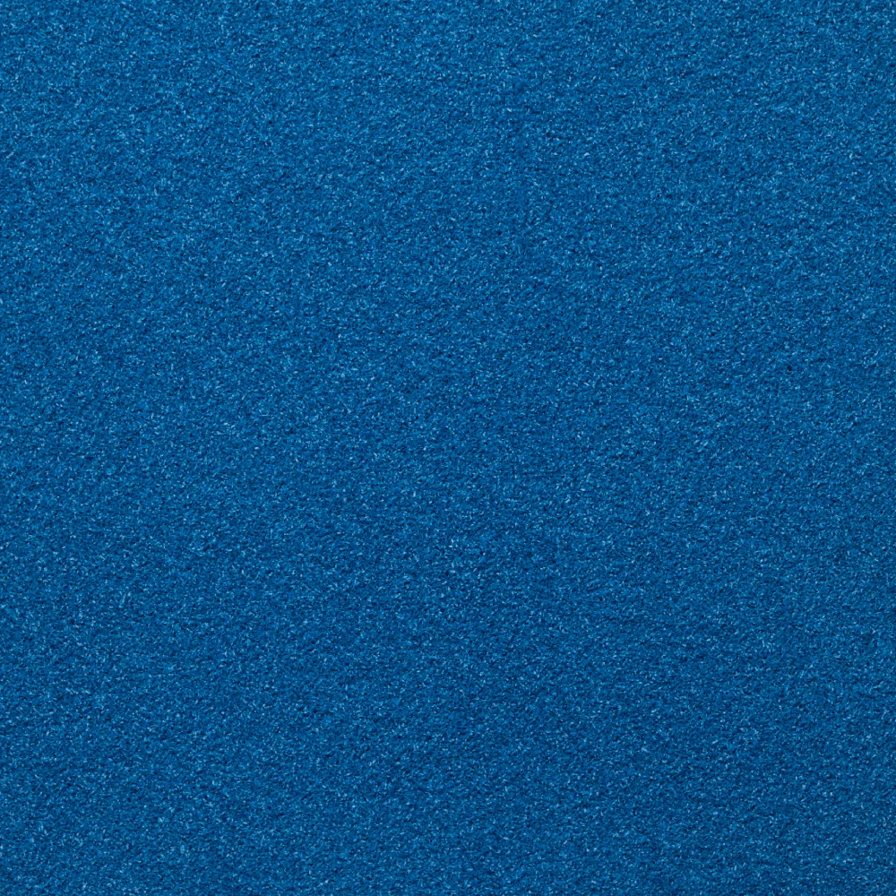 Vibora