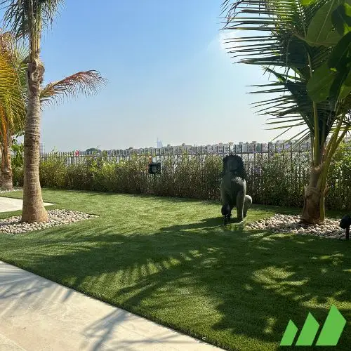 palm villa dubai artificial grass