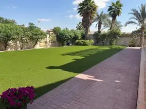 villa garden landscape turf dubai