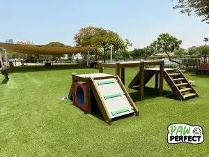 Low-maintenance artificial grass for dogs installed in a pet-friendly park in Dubai, ideal for safe and clean play areas
